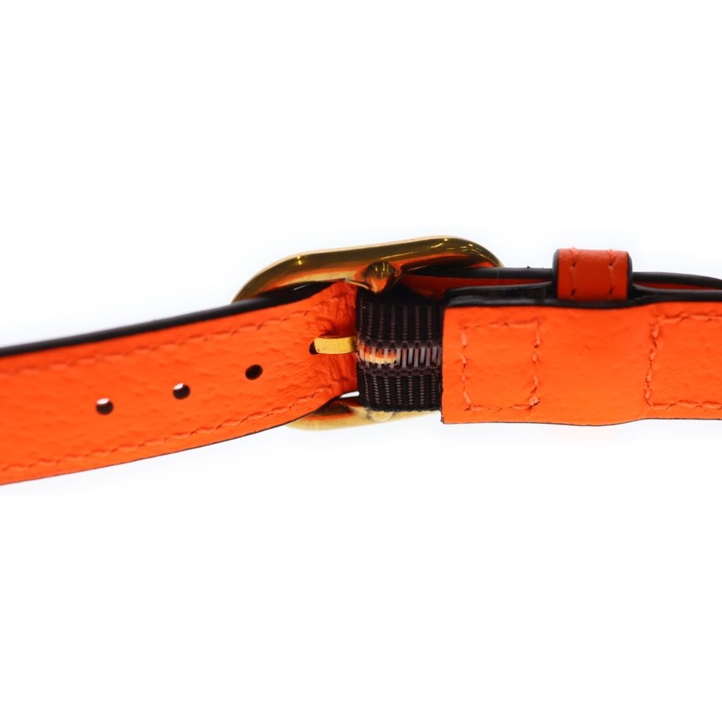 Gucci Diana Logo Leather Belt Orange Set — view 6