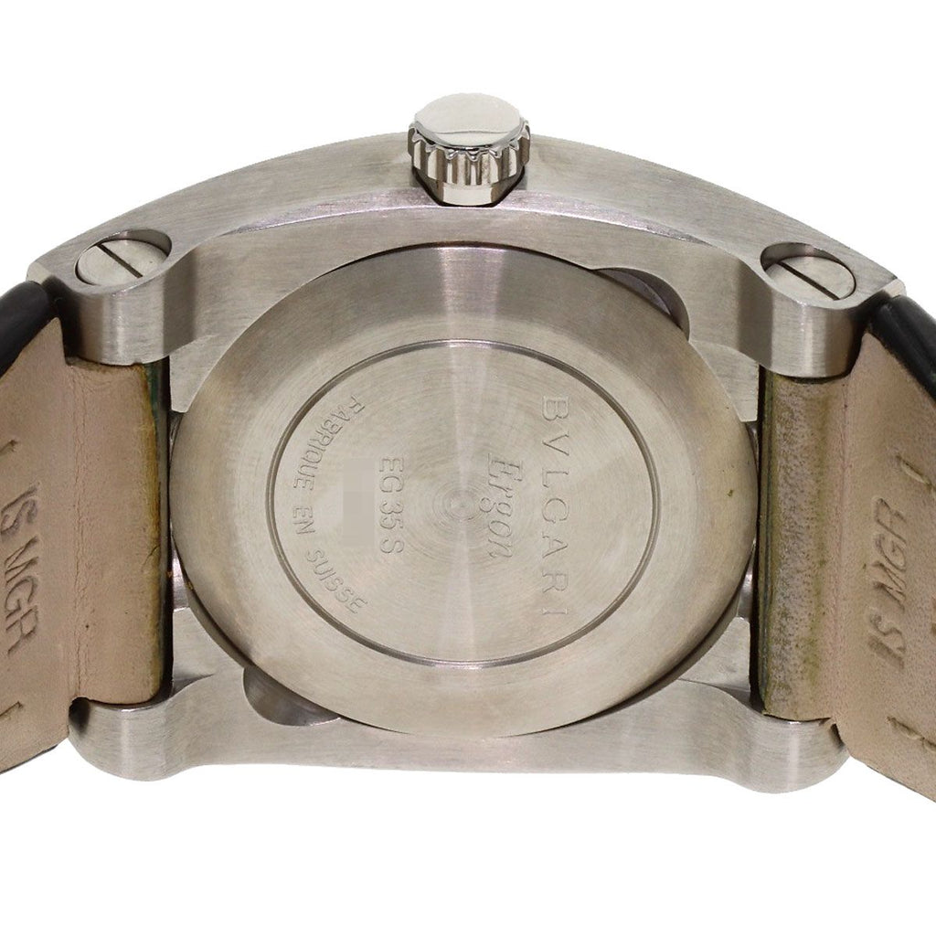 Bvlgari Ergon Watch SS Leather — view 6