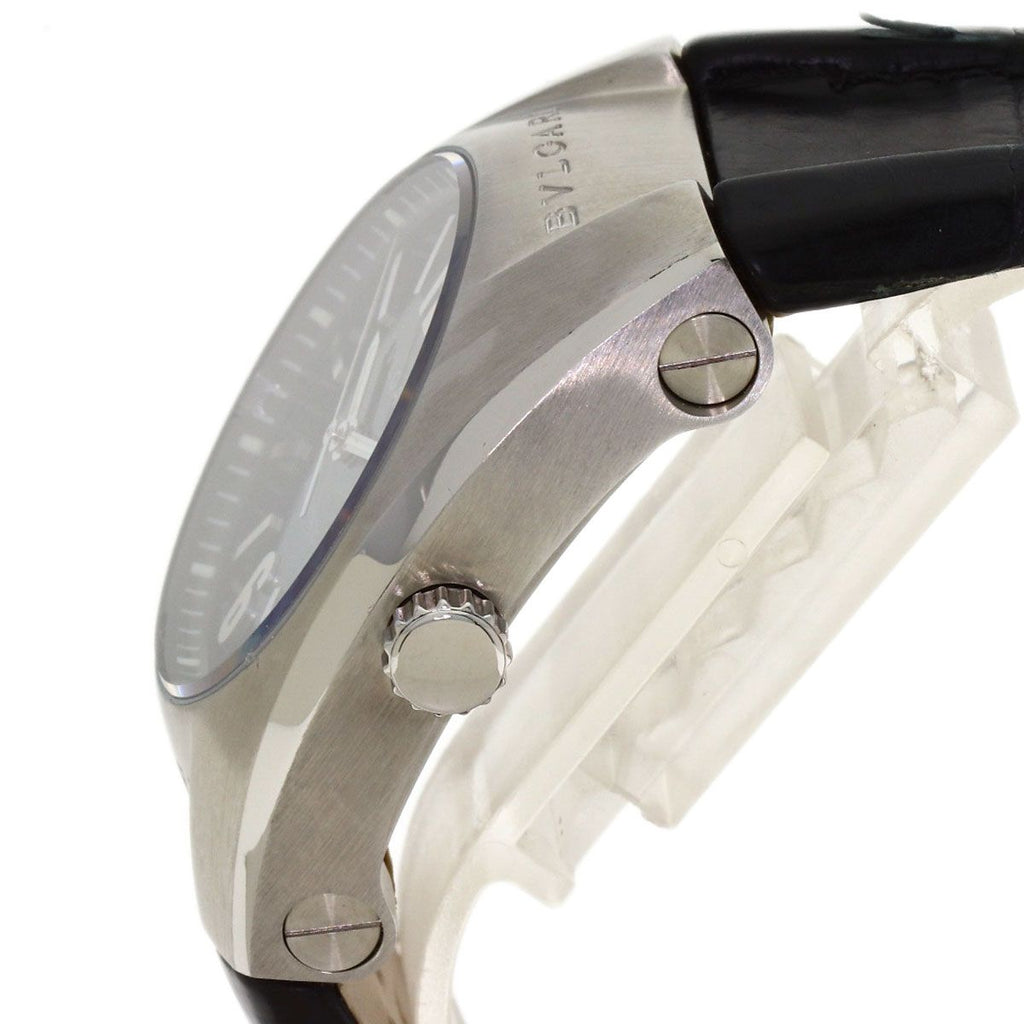Bvlgari Ergon Watch SS Leather — view 5