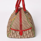 Dior Handbag Rasta Color Beige Trotter Galliano — view 4