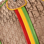 Dior Handbag Rasta Color Beige Trotter Galliano — view 7
