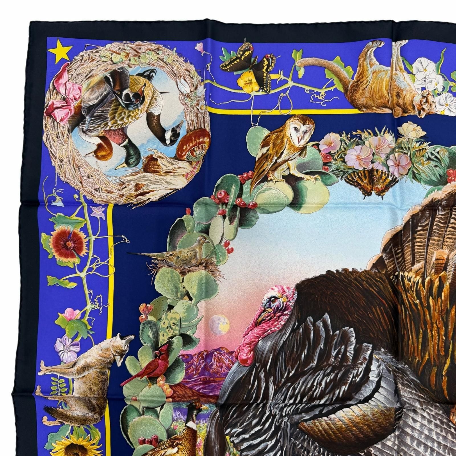Hermes Carre 90 Faune Et Flore du Texas Wildlife Illustrated Guide to Flora and — view 2