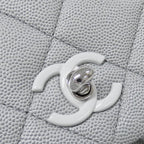 Chanel Backpack Gray — view 5