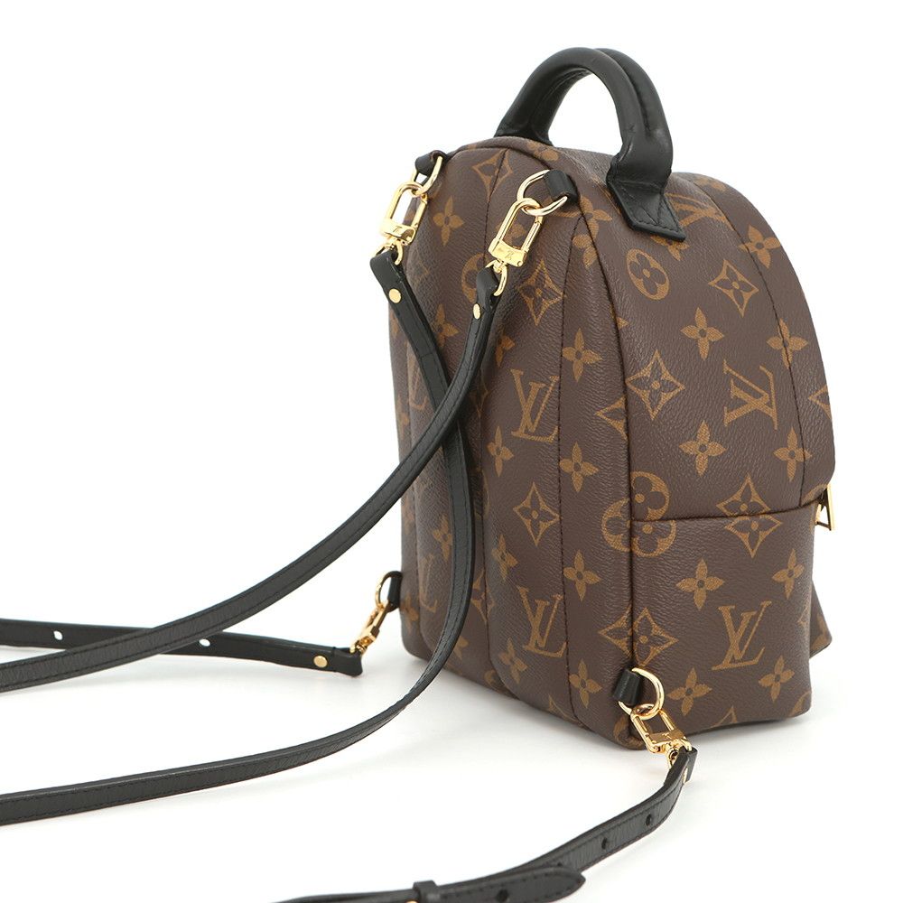 Louis Vuitton Backpack Monogram Palm Springs Mini — view 3