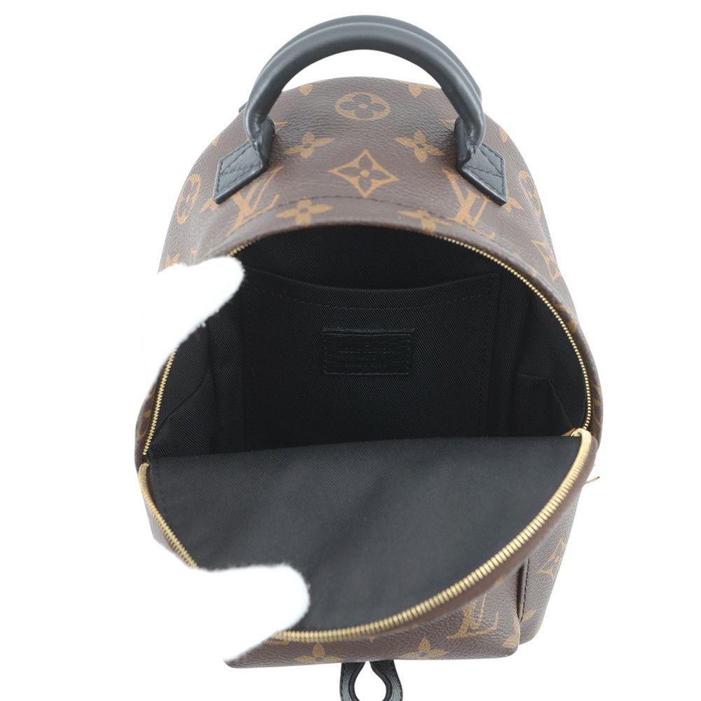 Louis Vuitton Backpack Monogram Palm Springs Mini — view 6
