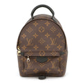 Louis Vuitton Backpack Monogram Palm Springs Mini