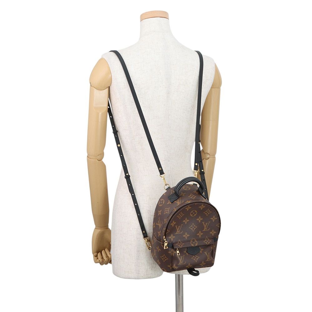 Louis Vuitton Backpack Monogram Palm Springs Mini — view 5