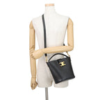 Celine Handbag Triomphe Small Bucket Louis e 2-Way Black — view 5
