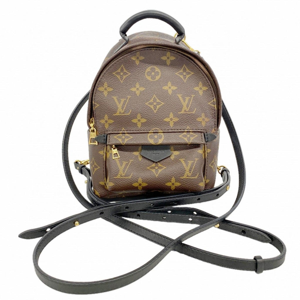 Louis Vuitton Backpack Monogram Palm Springs Mini Brown