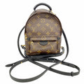 Louis Vuitton Backpack Monogram Palm Springs Mini Brown