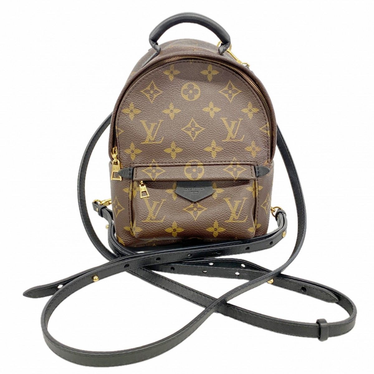 Louis Vuitton Backpack Monogram Palm Springs Mini Brown