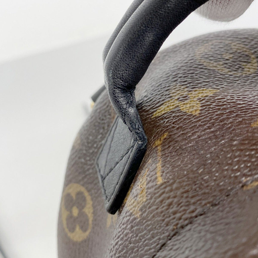 Louis Vuitton Backpack Monogram Palm Springs Mini Brown — view 8