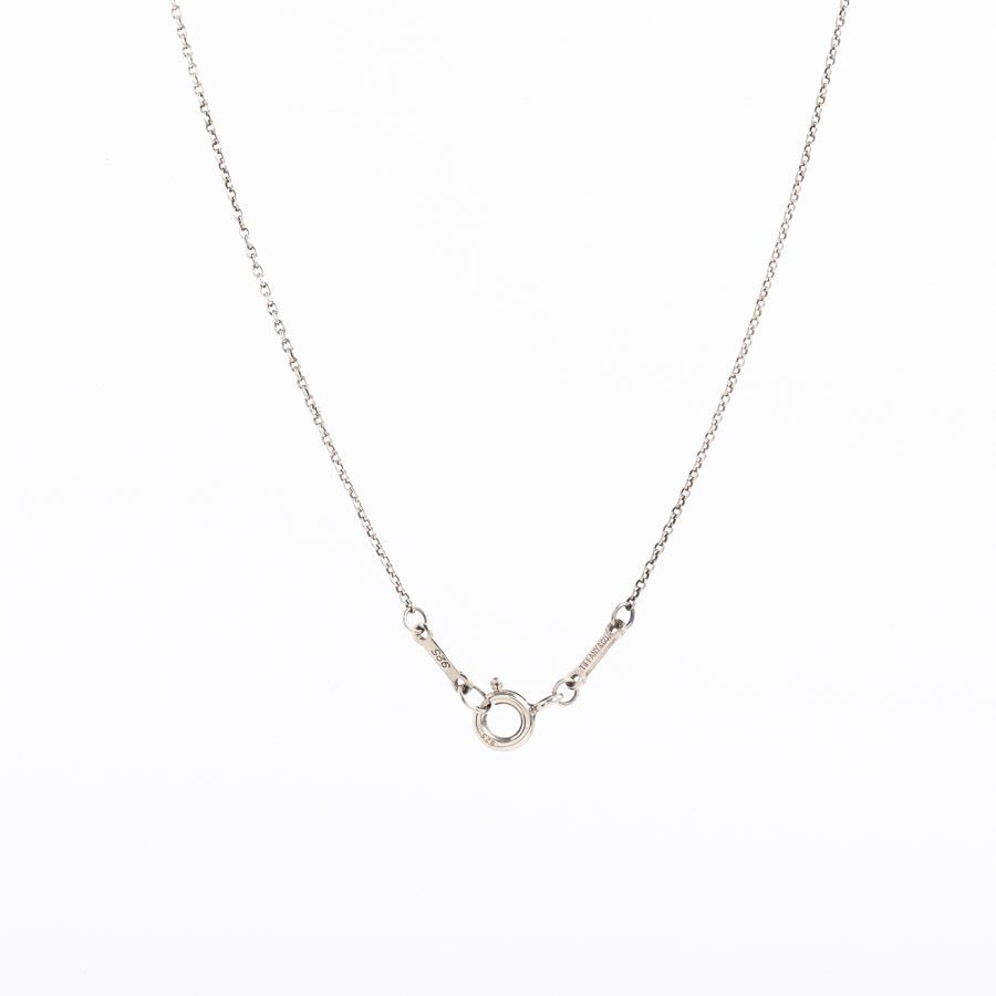 Tiffany & Co Necklace Eternal Circle — view 5