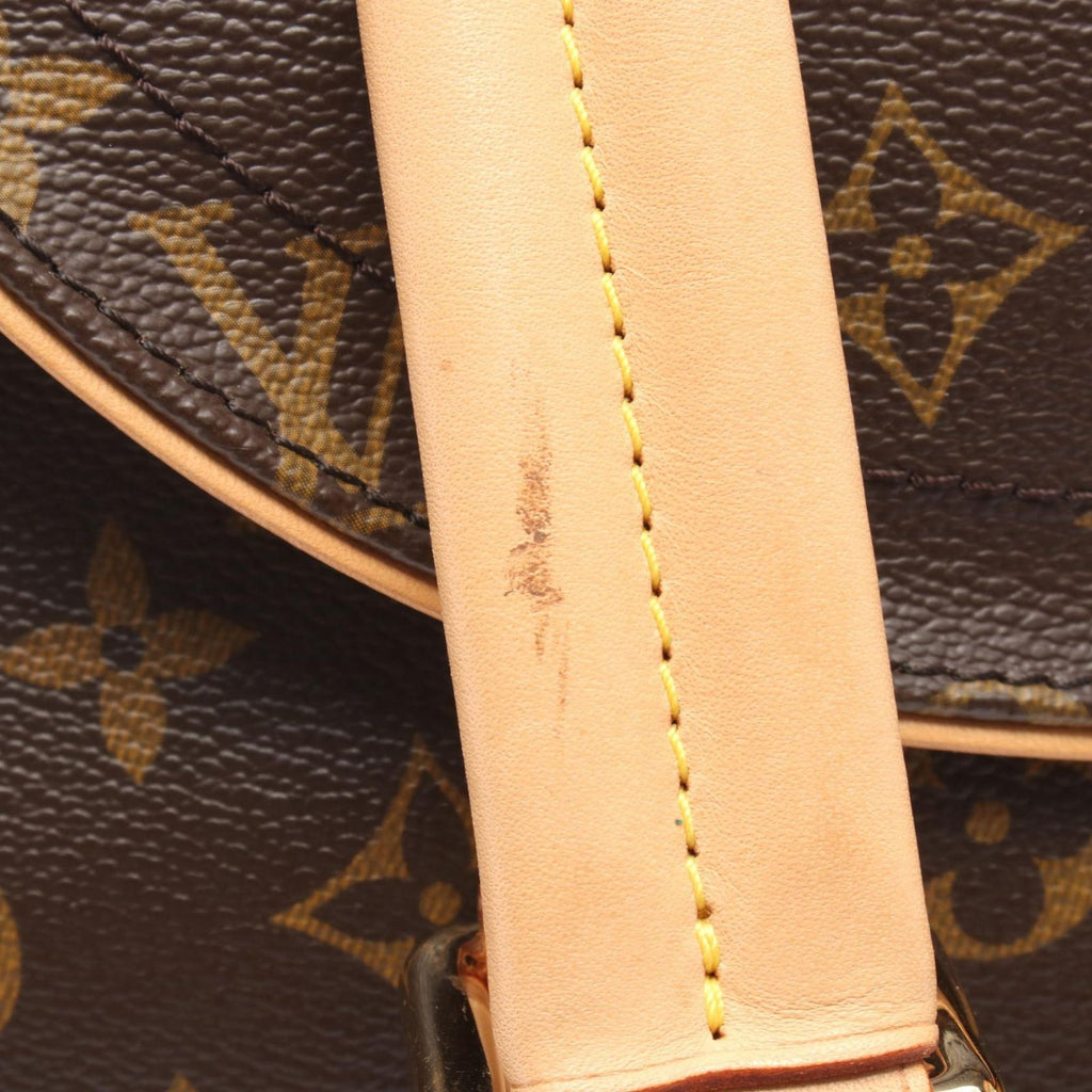 Louis Vuitton Shoulder Bag Vivari GM Canvas Leather — view 9