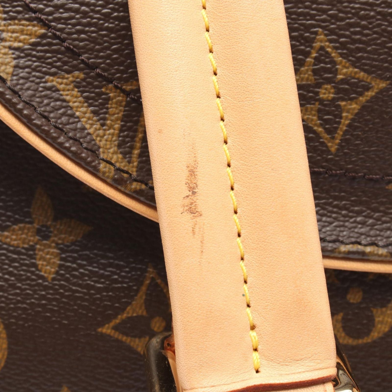 Louis Vuitton Shoulder Bag Vivari GM Canvas Leather — view 9
