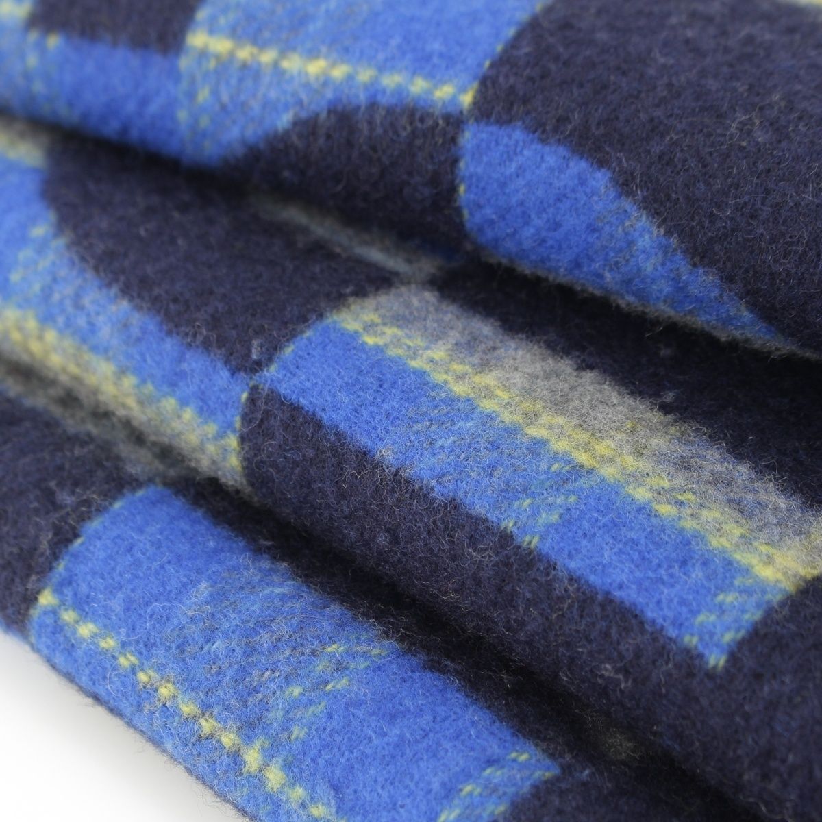 Louis Vuitton Wool Cashmere Echarpe Check with Logo Scarf Blue — view 9