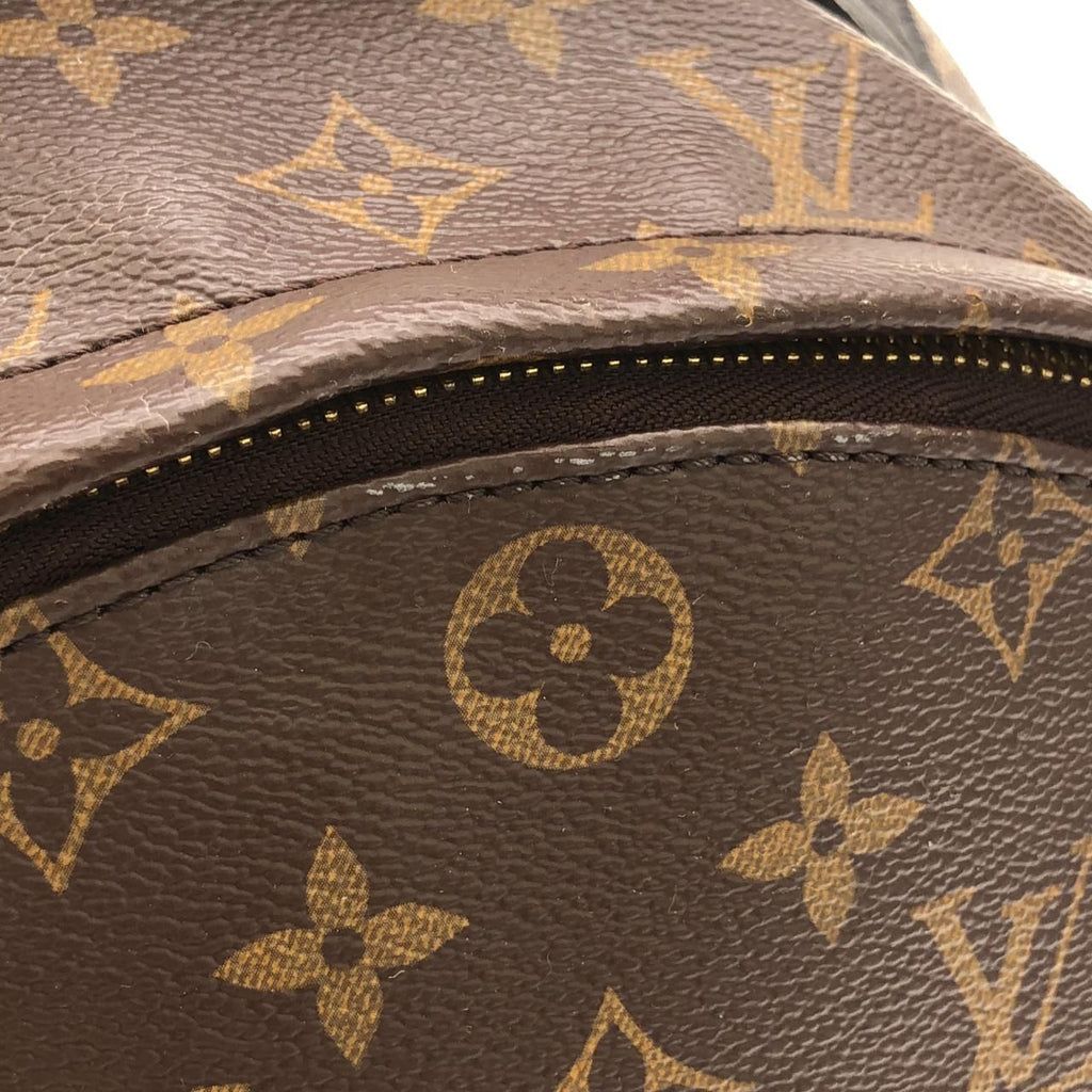 Louis Vuitton Monogram Palm Springs Backpack MM — view 6