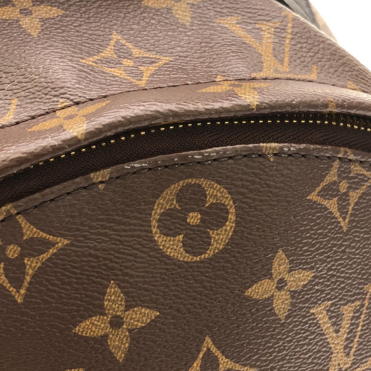 Louis Vuitton Monogram Palm Springs Backpack MM — view 6
