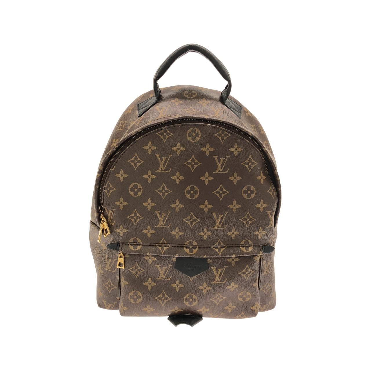 Louis Vuitton Monogram Palm Springs Backpack MM