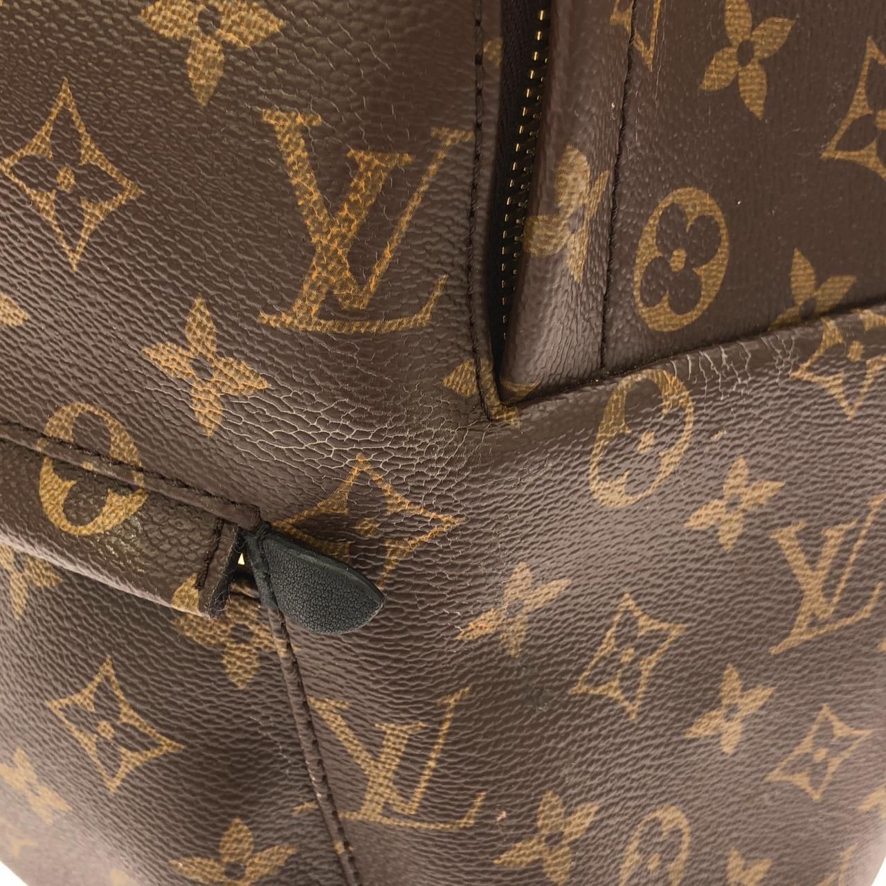 Louis Vuitton Monogram Palm Springs Backpack MM — view 4