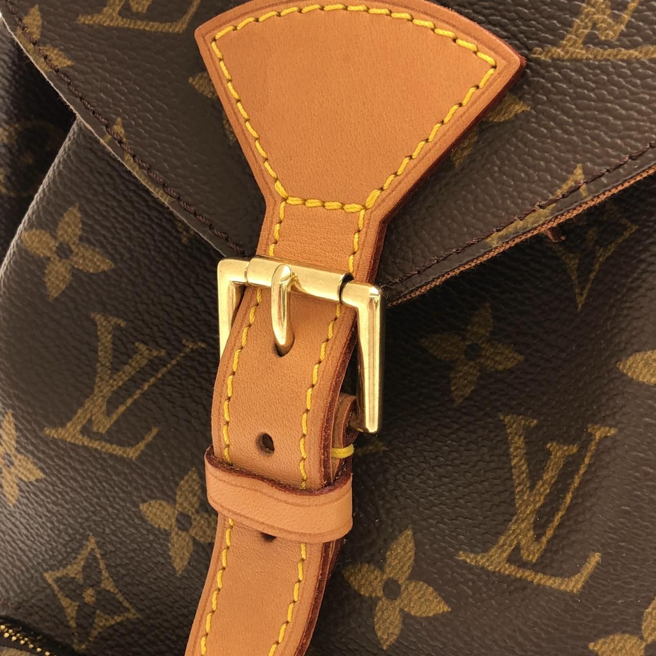 Louis Vuitton Monogram Montsouris MM Backpack — view 5