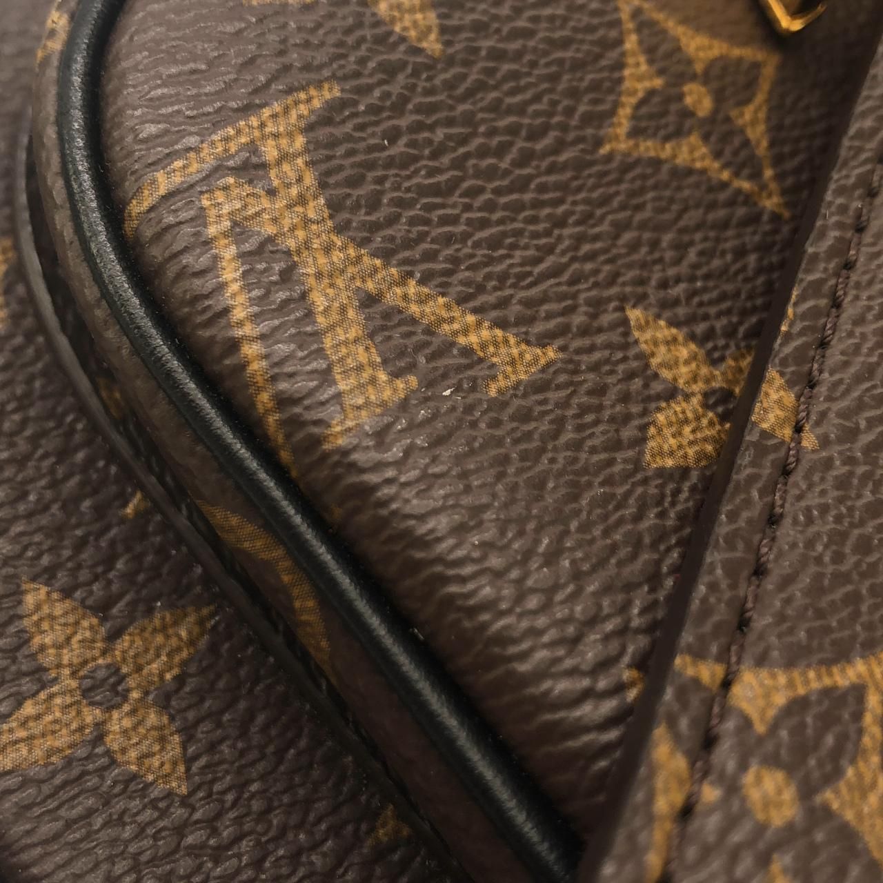 Louis Vuitton Monogram Passy Shoulder — view 5