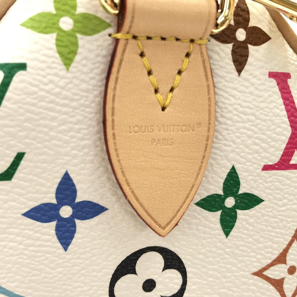 Louis Vuitton Multicolor Speedy Soft 30 cm Boston — view 6
