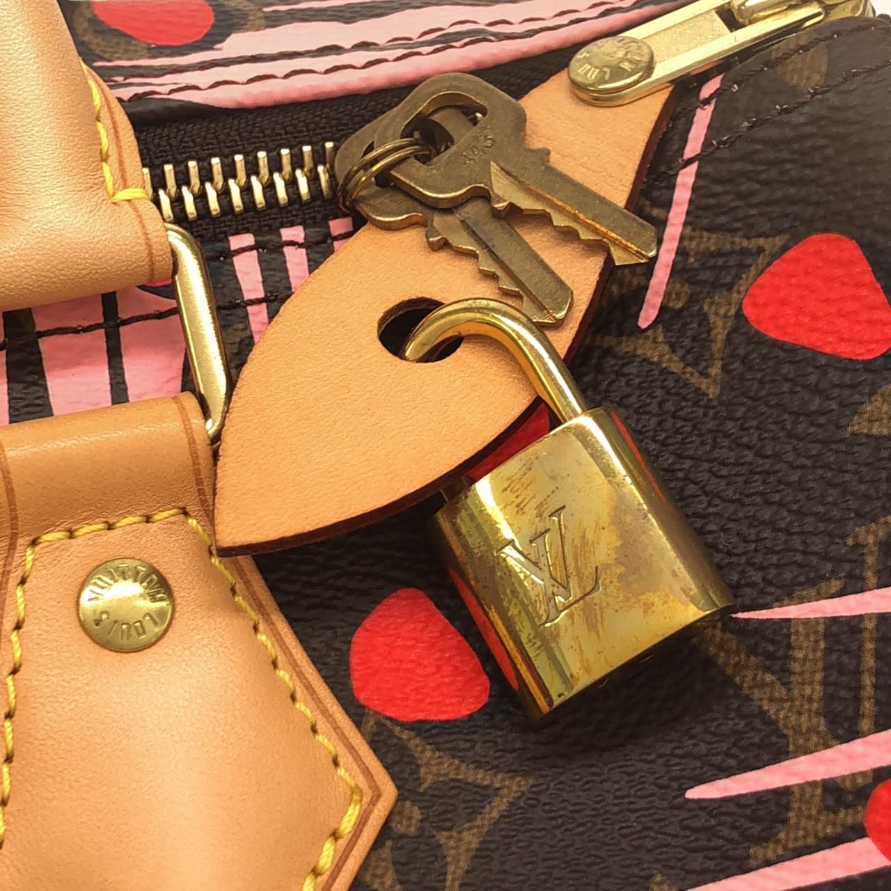 Louis Vuitton Monogram Summer Jungle Dot Speedy 30 cm Boston — view 4