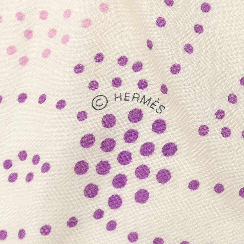 Hermes Brandebourgs Points Carre Shawl Scarf — view 4