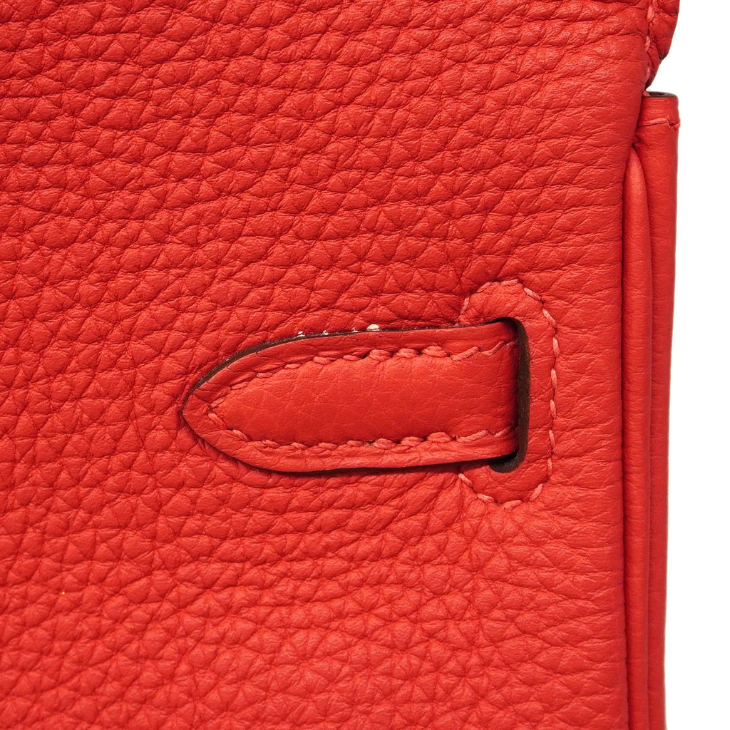 Hermes Handbag Birkin 25 Togo le Jupivoine Gold — view 7