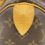 Louis Vuitton Handbag Monogram Speedy 25 Brown — view 5