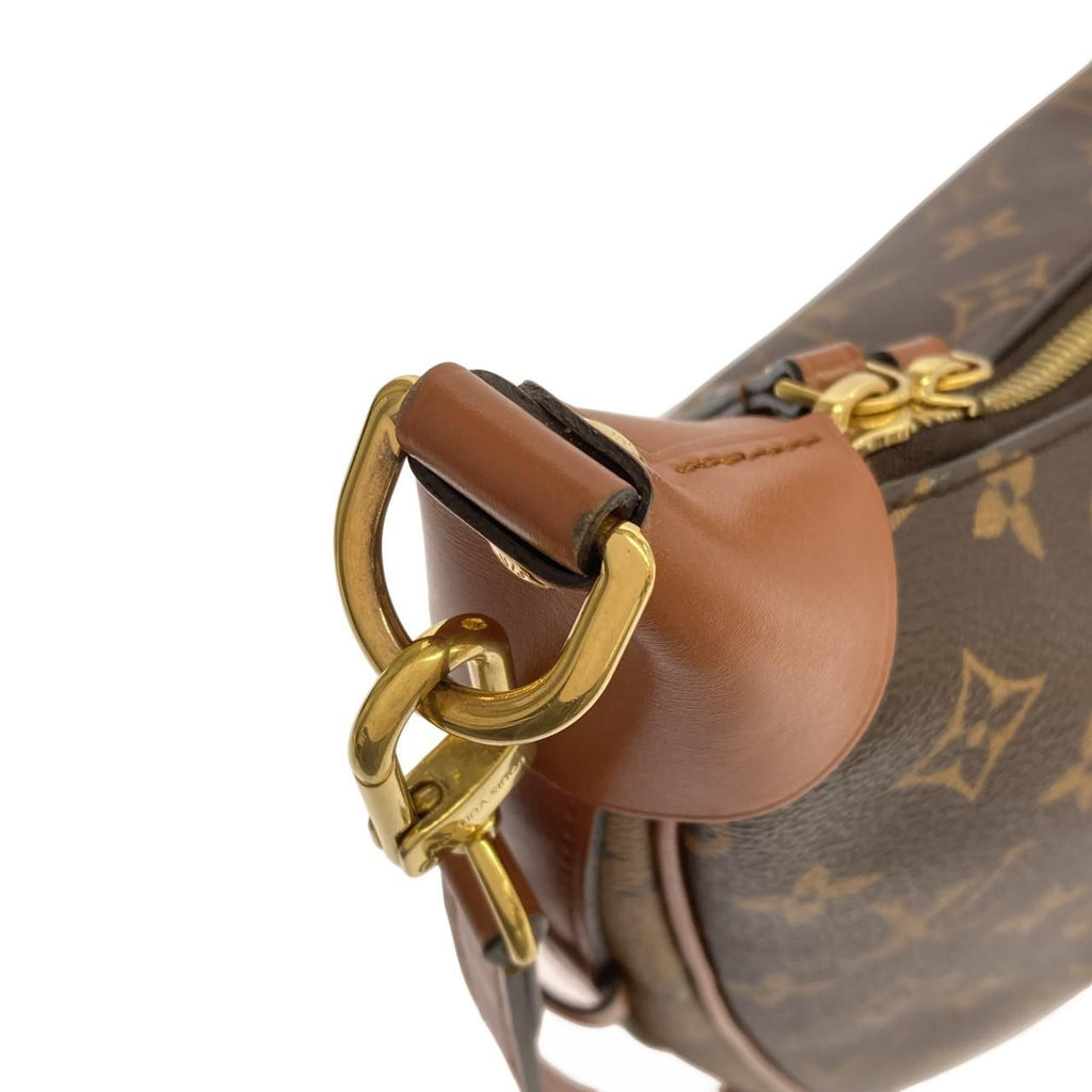 Louis Vuitton Monogram Reverse Loop Hobo Shoulder — view 6