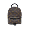 Louis Vuitton Monogram Palm Springs Backpack Mini