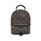 Louis Vuitton Monogram Palm Springs Backpack Mini