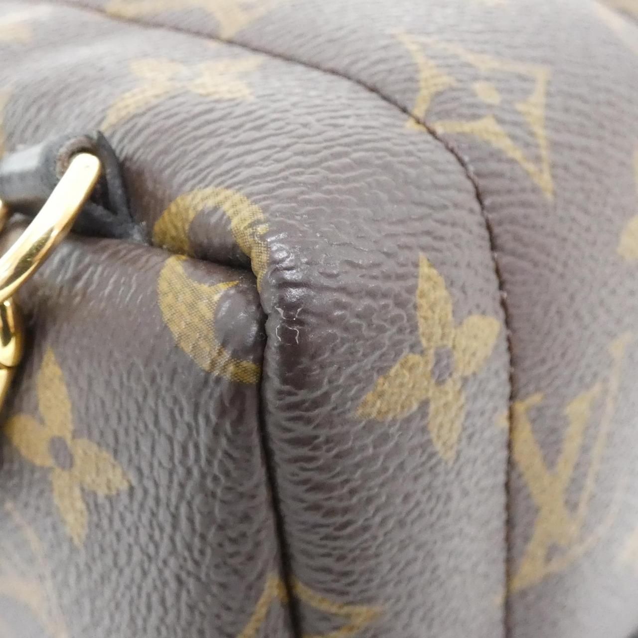 Louis Vuitton Monogram Palm Springs Backpack Mini — view 3
