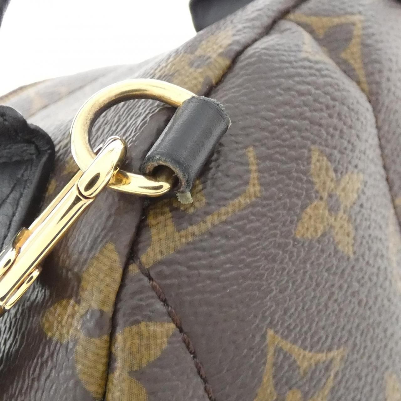 Louis Vuitton Monogram Palm Springs Backpack Mini — view 4