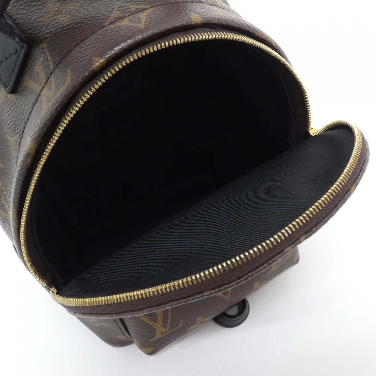 Louis Vuitton Monogram Palm Springs Backpack Mini — view 7