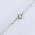 Tiffany & Co Loving Heart Paloma Picasso 925 Sterling Silver Necklace — view 5