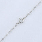 Tiffany & Co Apple Elsa Peretti 925 Sterling Silver Necklace — view 5