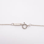 Tiffany & Co Necklace Map Roulis Silver — view 4