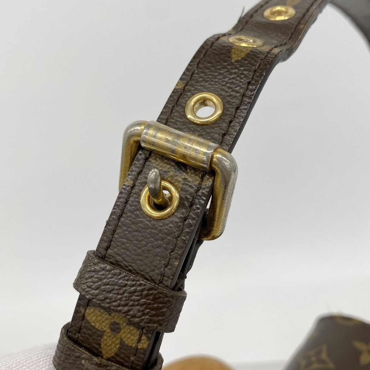 Louis Vuitton Handbag Monogram Eden MM Avane 2-Way — view 8
