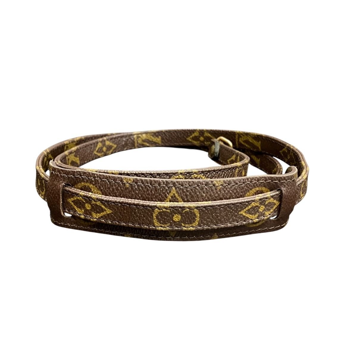 Louis Vuitton Mini Speedy Monogram Shoulder — view 5