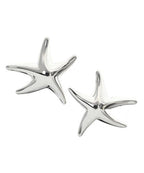 Tiffany & Co Earrings