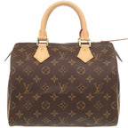 Louis Vuitton Speedy 25 Monogram IC Handbag