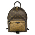 Louis Vuitton Backpack Monogram Reverse Palm Springs PM