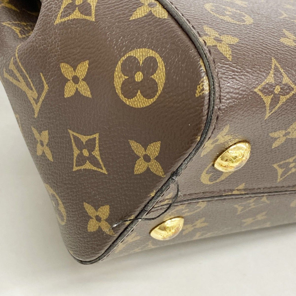 Louis Vuitton Handbag Monogram Cluny MM Brown 2-Way — view 7