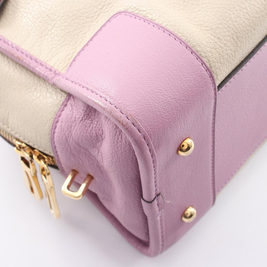 Loewe Handbag Amazona 28 Ivory Pink Bordeaux Leather — view 5