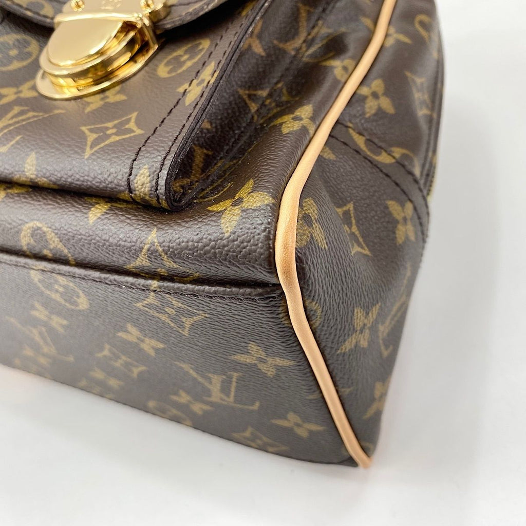Louis Vuitton Handbag Manhattan GM — view 8
