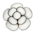Chanel Brooch Camellia Logo Ceramic White