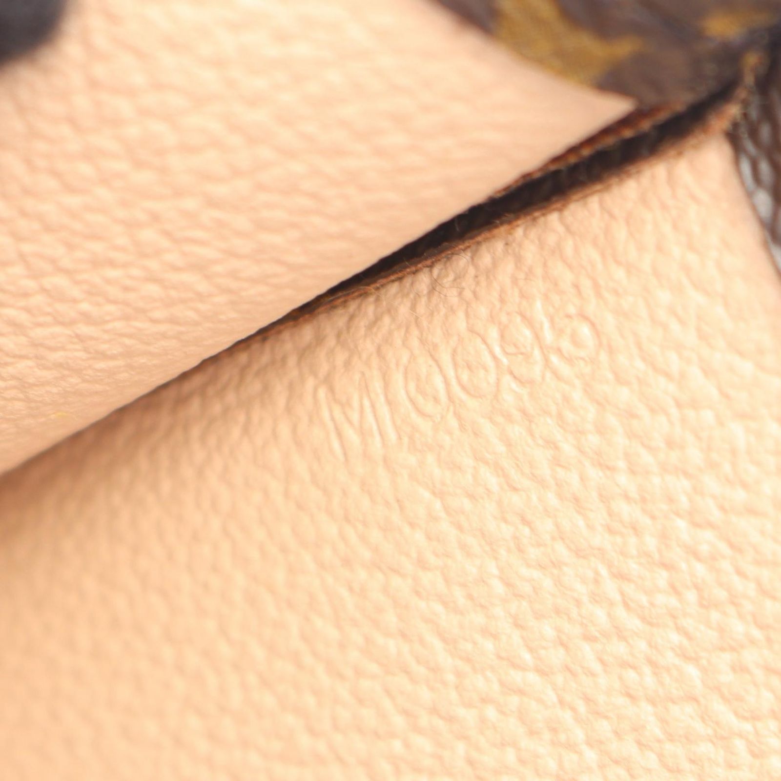 Louis Vuitton Tote Sac Plat Canvas Leather — view 5